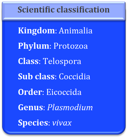 Plasmodium classification, Plasmodium, General characters of Plasmodium, Plasmodium life cycle, Plasmodium vivax, plasmodium ovale, plasmodium falciparum, Malaria, sporozoite